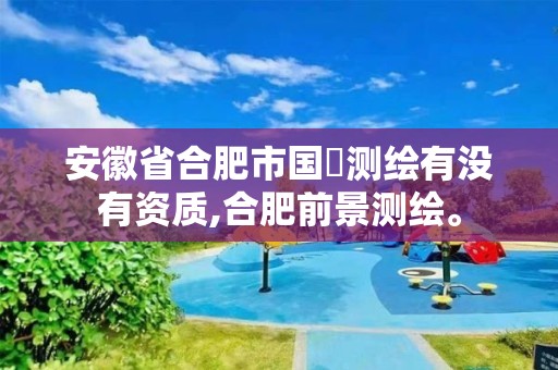 安徽省合肥市国璟测绘有没有资质,合肥前景测绘。