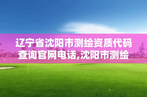 辽宁省沈阳市测绘资质代码查询官网电话,沈阳市测绘院是什么单位。