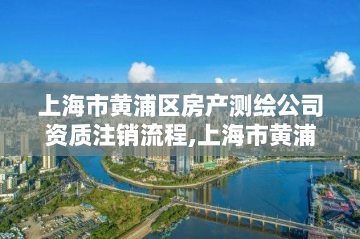 上海市黄浦区房产测绘公司资质注销流程,上海市黄浦区房产测绘公司资质注销流程。