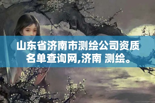 山东省济南市测绘公司资质名单查询网,济南 测绘。