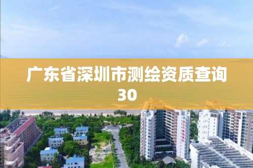 广东省深圳市测绘资质查询30