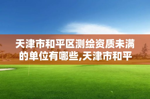 天津市和平区测绘资质未满的单位有哪些,天津市和平区测绘资质未满的单位有哪些地方。