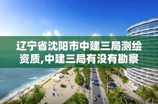 辽宁省沈阳市中建三局测绘资质,中建三局有没有勘察资质。