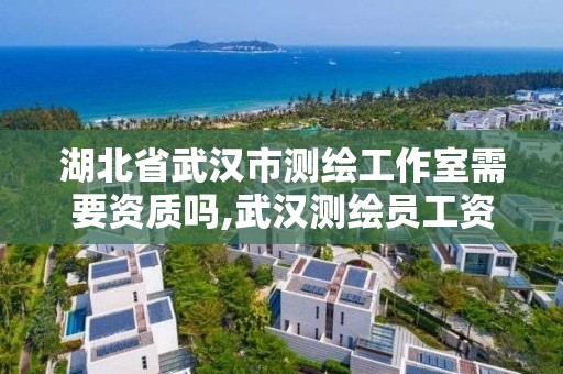 湖北省武汉市测绘工作室需要资质吗,武汉测绘员工资。