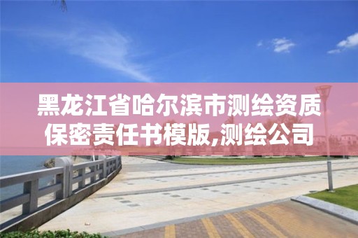 黑龙江省哈尔滨市测绘资质保密责任书模版,测绘公司保密管理机构。