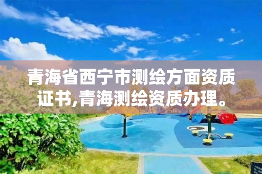 青海省西宁市测绘方面资质证书,青海测绘资质办理。