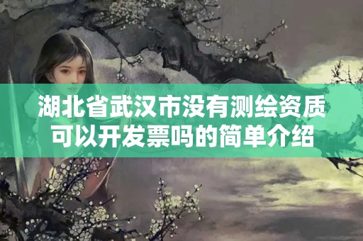 湖北省武汉市没有测绘资质可以开发票吗的简单介绍