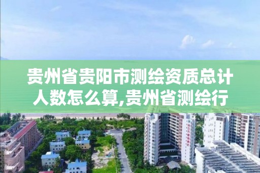 贵州省贵阳市测绘资质总计人数怎么算,贵州省测绘行业协会。