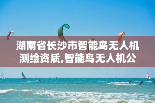 湖南省长沙市智能鸟无人机测绘资质,智能鸟无人机公司。