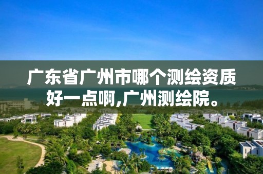 广东省广州市哪个测绘资质好一点啊,广州测绘院。