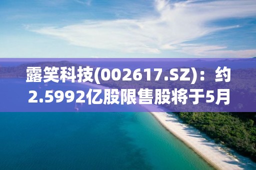 露笑科技(002617.SZ)：约2.5992亿股限售股将于5月9日解禁