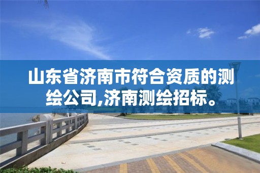 山东省济南市符合资质的测绘公司,济南测绘招标。