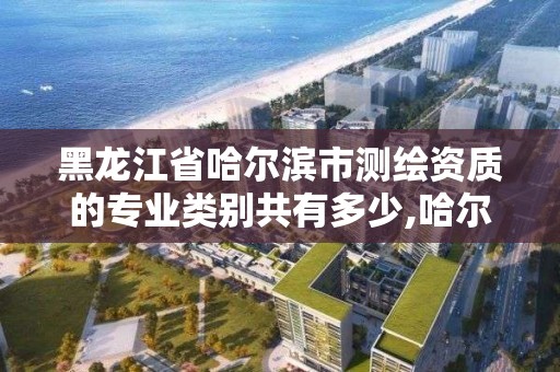 黑龙江省哈尔滨市测绘资质的专业类别共有多少,哈尔滨测绘招聘。