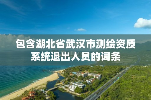 包含湖北省武汉市测绘资质系统退出人员的词条