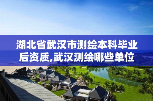 湖北省武汉市测绘本科毕业后资质,武汉测绘哪些单位比较好。