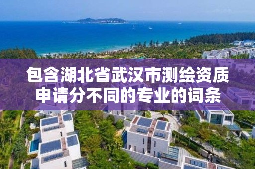 包含湖北省武汉市测绘资质申请分不同的专业的词条