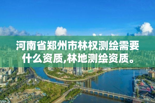 河南省郑州市林权测绘需要什么资质,林地测绘资质。