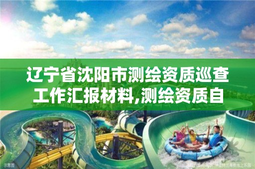 辽宁省沈阳市测绘资质巡查工作汇报材料,测绘资质自查情况表如何填写。