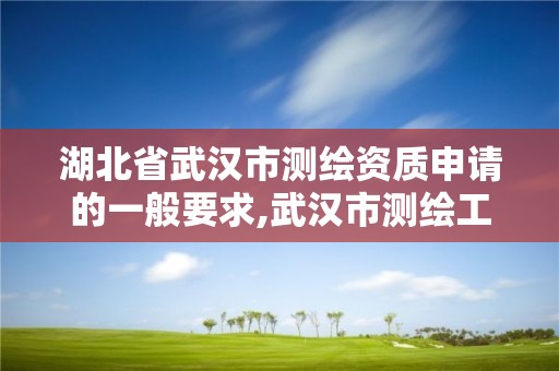 湖北省武汉市测绘资质申请的一般要求,武汉市测绘工程技术规定。