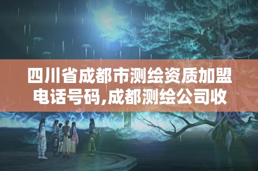 四川省成都市测绘资质加盟电话号码,成都测绘公司收费标准。