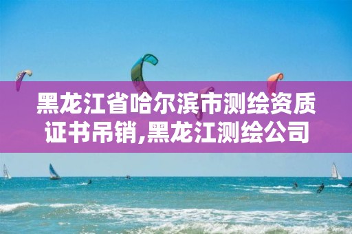 黑龙江省哈尔滨市测绘资质证书吊销,黑龙江测绘公司乙级资质。