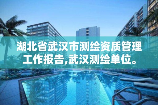 湖北省武汉市测绘资质管理工作报告,武汉测绘单位。