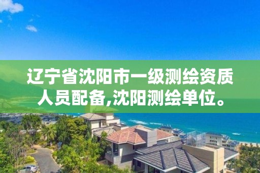 辽宁省沈阳市一级测绘资质人员配备,沈阳测绘单位。