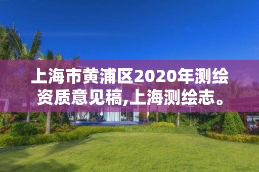 上海市黄浦区2020年测绘资质意见稿,上海测绘志。