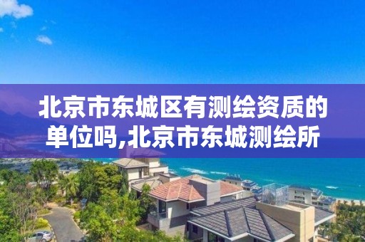 北京市东城区有测绘资质的单位吗,北京市东城测绘所。