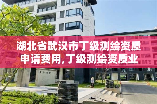 湖北省武汉市丁级测绘资质申请费用,丁级测绘资质业务范围有哪些。