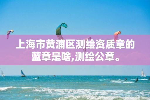 上海市黄浦区测绘资质章的蓝章是啥,测绘公章。