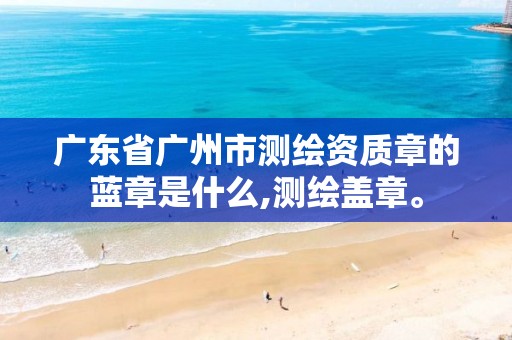 广东省广州市测绘资质章的蓝章是什么,测绘盖章。