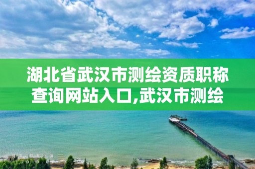 湖北省武汉市测绘资质职称查询网站入口,武汉市测绘研究院官网。