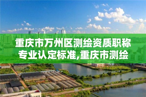 重庆市万州区测绘资质职称专业认定标准,重庆市测绘资质管理办法。