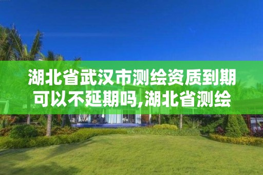 湖北省武汉市测绘资质到期可以不延期吗,湖北省测绘资质延期公告。