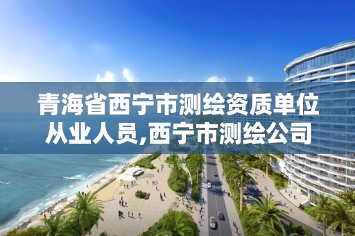 青海省西宁市测绘资质单位从业人员,西宁市测绘公司。