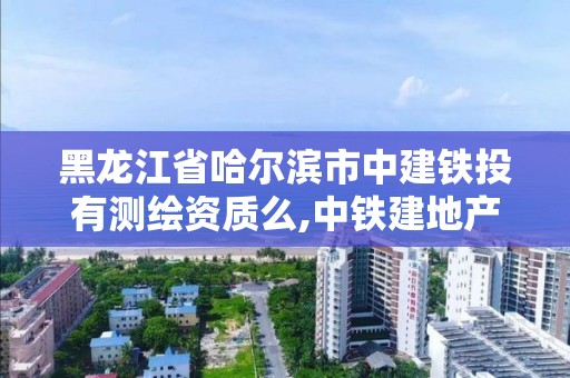 黑龙江省哈尔滨市中建铁投有测绘资质么,中铁建地产哈尔滨。