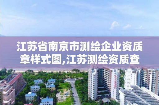 江苏省南京市测绘企业资质章样式图,江苏测绘资质查询。