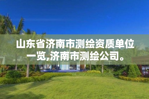 山东省济南市测绘资质单位一览,济南市测绘公司。