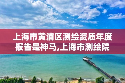 上海市黄浦区测绘资质年度报告是神马,上海市测绘院电话。