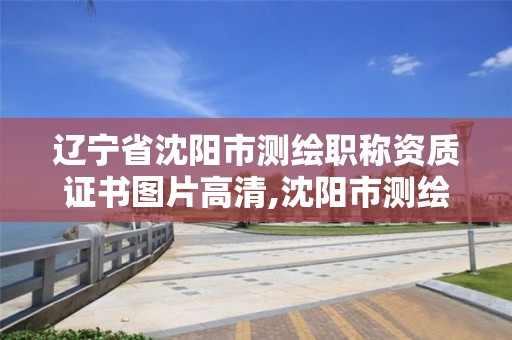 辽宁省沈阳市测绘职称资质证书图片高清,沈阳市测绘勘察研究院。