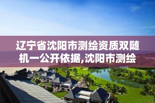 辽宁省沈阳市测绘资质双随机一公开依据,沈阳市测绘管理办公室。