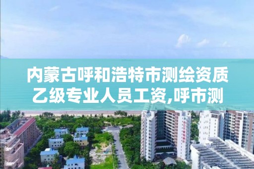 内蒙古呼和浩特市测绘资质乙级专业人员工资,呼市测绘单位。