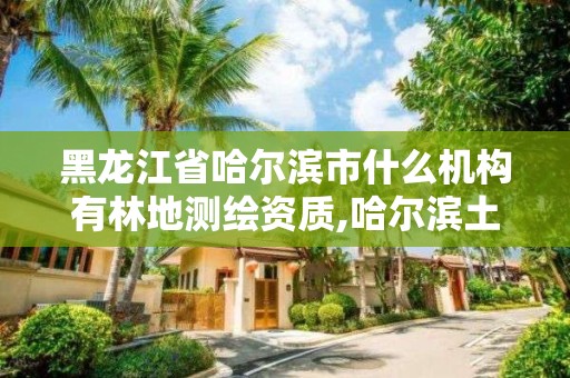 黑龙江省哈尔滨市什么机构有林地测绘资质,哈尔滨土地测绘公司。