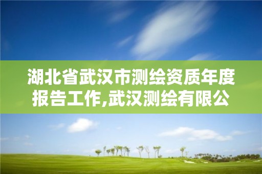 湖北省武汉市测绘资质年度报告工作,武汉测绘有限公司。