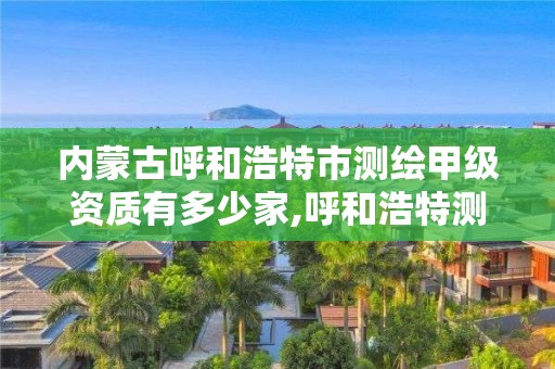 内蒙古呼和浩特市测绘甲级资质有多少家,呼和浩特测绘公司排名。