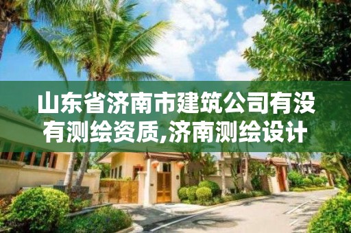 山东省济南市建筑公司有没有测绘资质,济南测绘设计院。