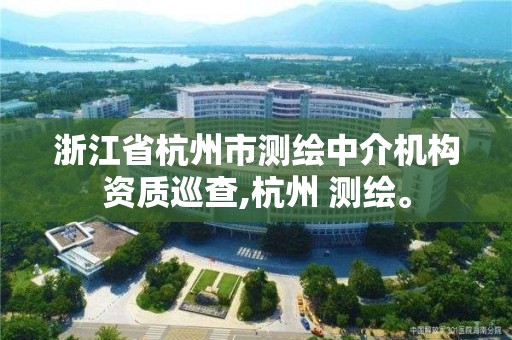 浙江省杭州市测绘中介机构资质巡查,杭州 测绘。