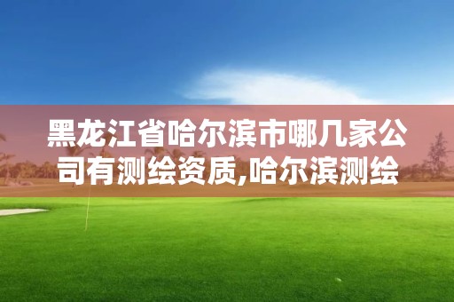 黑龙江省哈尔滨市哪几家公司有测绘资质,哈尔滨测绘院地址。