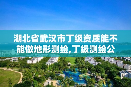 湖北省武汉市丁级资质能不能做地形测绘,丁级测绘公司注册条件。